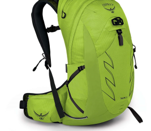 Osprey Talon 22 Backpack 2024 in Green size Small/Medium | Nylon